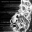 Mechanical Vein