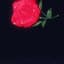 Prettyheartbreak