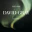 David Gray