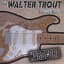 Walter Trout
