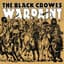 The Black Crowes