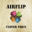 AIRFLIP