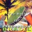 Percussion Brazil