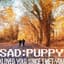 sad puppy