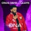 Craig David