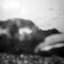 Sun Kil Moon
