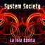 System Society