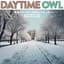 Daytime Owl