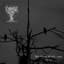 Starless Night