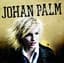 Johan Palm