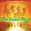 The Beach Boys
