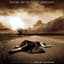 Pain of Salvation