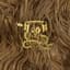 Super Furry Animals