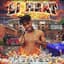 Li Heat