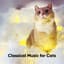 Classical Music for Cats