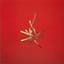 Roedelius