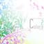 a_hisa