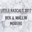 BEK & Wallin