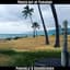 Punahele