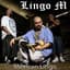 Lingo M