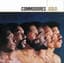 Commodores
