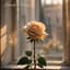 Emile Cerise