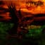 My Dying Bride