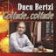 Ducu Bertzi