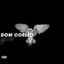 Dom Corleo