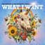 Joe Hertler & the Rainbow Seekers