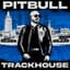 Pitbull