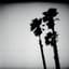 The Twilight Singers