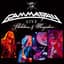 Gamma Ray