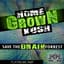 Collie Buddz