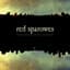 Red Sparowes