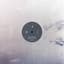 Taylor Deupree