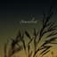 Unwritten Skies