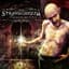 Stravaganzza