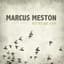 Marcus Meston