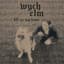 wych elm