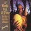 Henry Kaiser & David Lindley