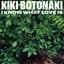 Kiki Botonaki