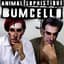 Bumcello