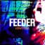 Feeder