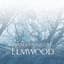 An Evening At Elmwood