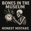 Bones In The Museum