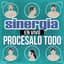 Sinergia