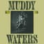 Muddy Waters
