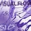 Visual Flow