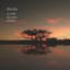 Slow Rising Hope
